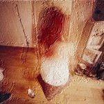 李 博 无题七月之一  综合材料 70x150cm 版数1   2007