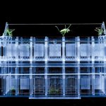 Flower,Bird,Insert,Fish-Insectot   Plexiglas,Crickets   90×60×55cm  1999