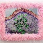 从瓴萁   痕迹—拉肚子之二      装置绘画     110×90cm    2008